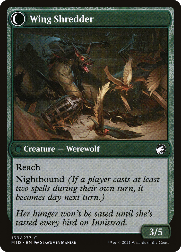 Bird Admirer (MID-169) - Innistrad: Midnight Hunt: (Double Faced Transform) Foil