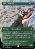 Nut Collector (Borderless) (DMR-440) - Dominaria Remastered (Borderless)