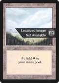 Plains (FBB-293) - Foreign Black Border