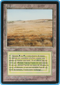 Savannah (FBB-) - Foreign Black Border