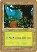 Forest (A) - 1996 Preston Poulter (4ED) (WCD-PP376) - Pro Tour Collector Set