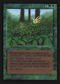 Kudzu (IE) (IED-205) - Intl. Collectors' Edition